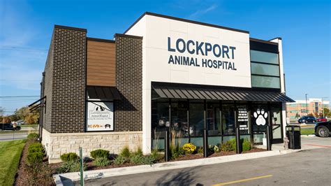 Lockport animal hospital - Get exceptional Dog Grooming services from highly experienced & loving pet care professionals in Lockport, IL. Visit VCA All Pets Animal Hospital today. Close. VCA All Pets Animal Hospital. ... VCA All Pets Animal Hospital. 200 Read Street Lockport, IL 60441. Get Directions HOURS Mon: 8:00 am - 8:00 pm. Tue: 8:00 am - 8:00 pm.